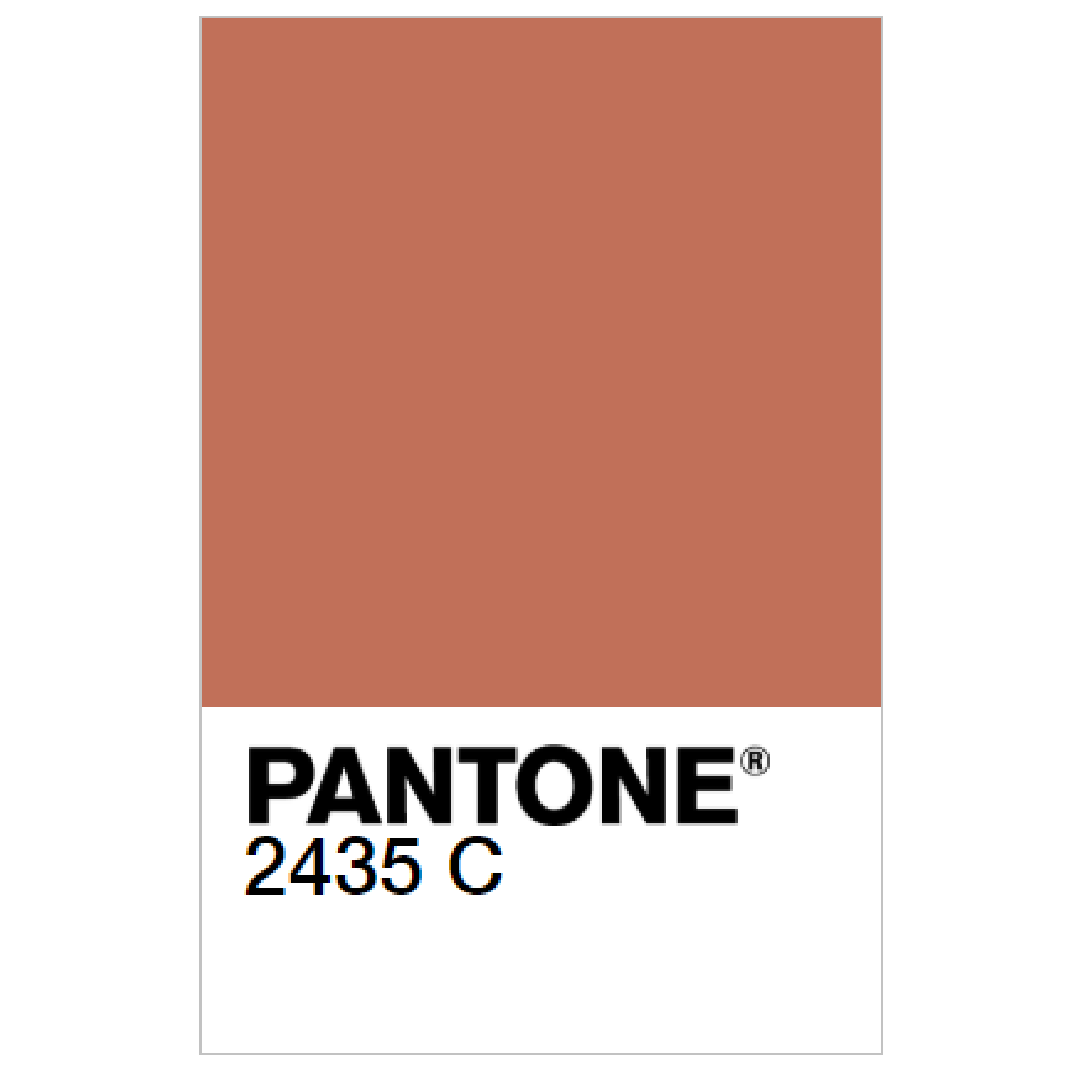 terracotta 2435 c pantone color