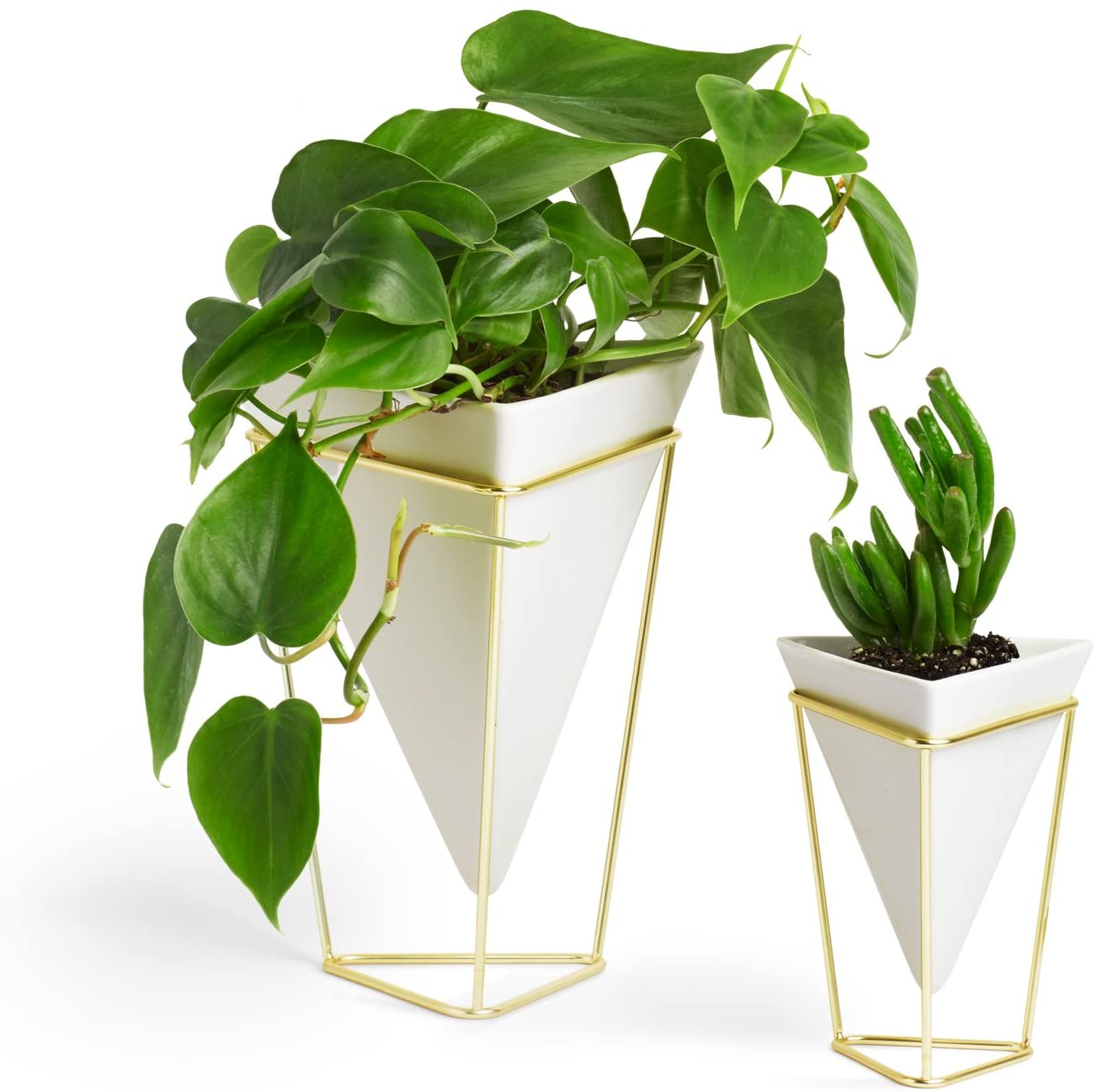 modern geometric white plant pots with gold stand